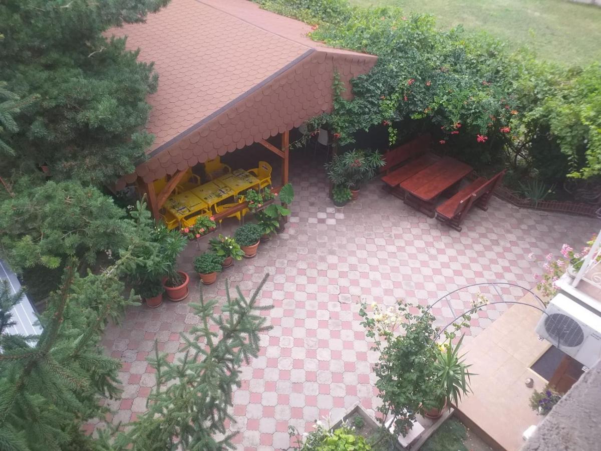 Pensiunea Paradis Vrancean Cotesti  Bagian luar foto
