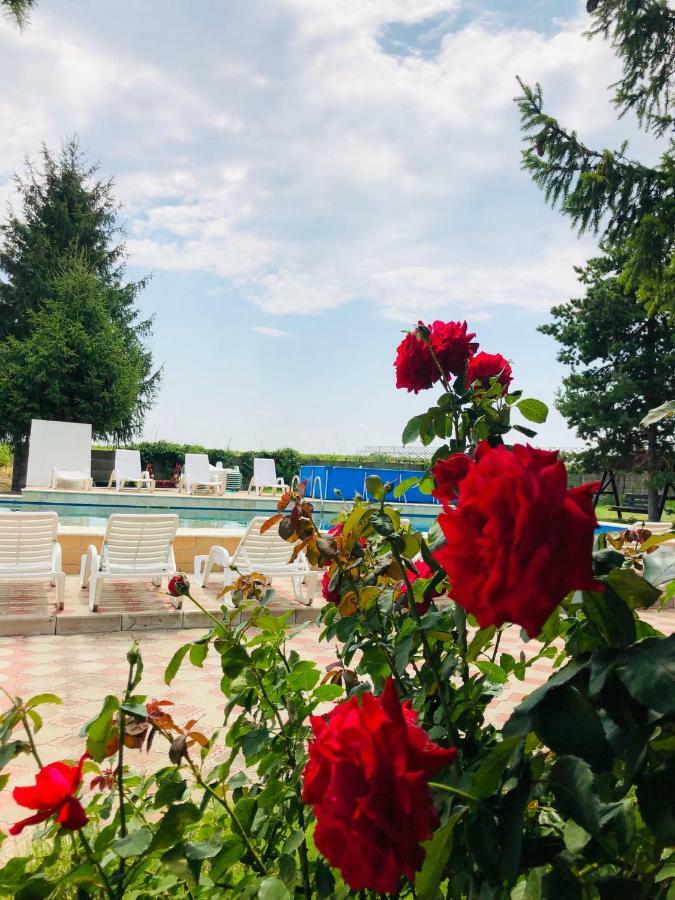 Pensiunea Paradis Vrancean Cotesti  Bagian luar foto